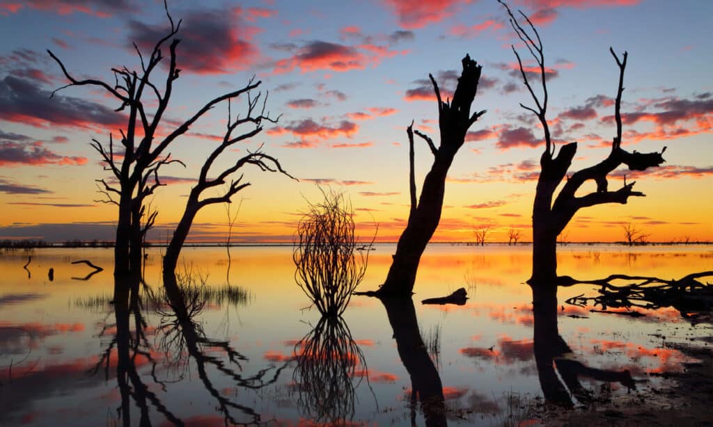 Menindee Lakes Australia