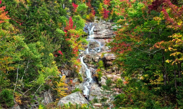 Discover These 10 Magnificent Waterfalls in New Hampshire - A-Z Animals