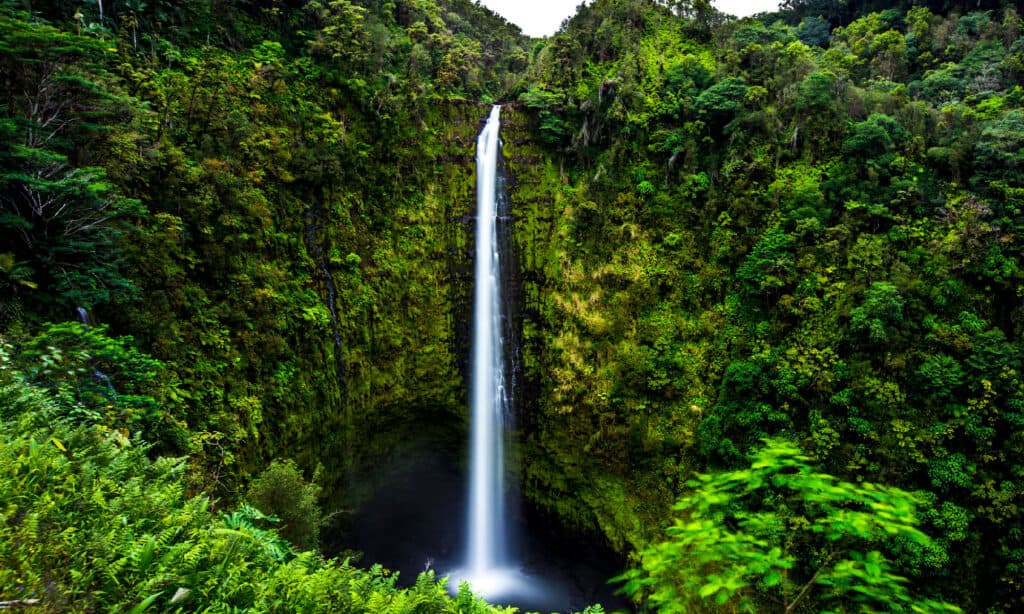 Akaka Falls Hawaii