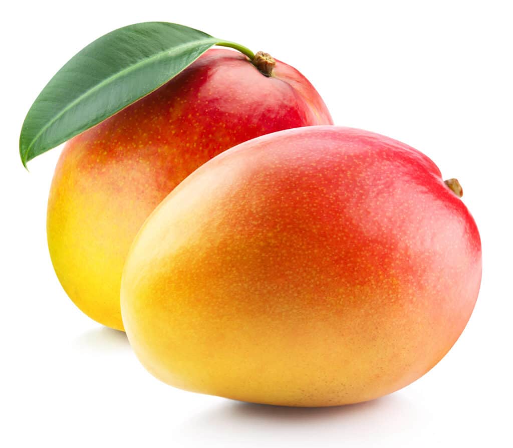 mangos