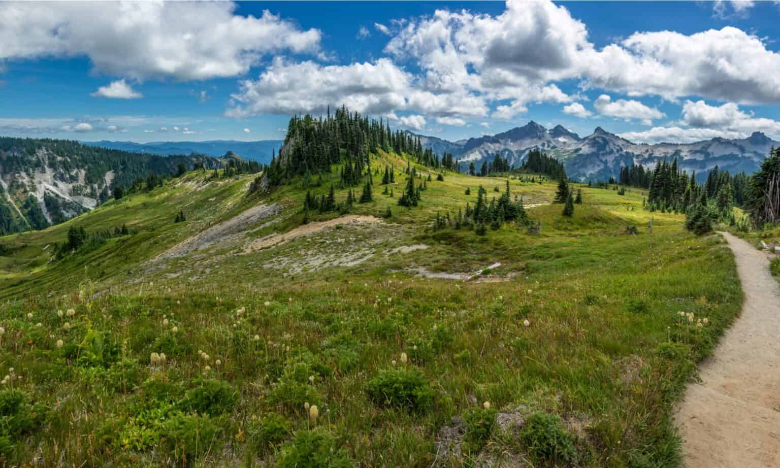 The Longest Hiking Trail in California - A-Z Animals