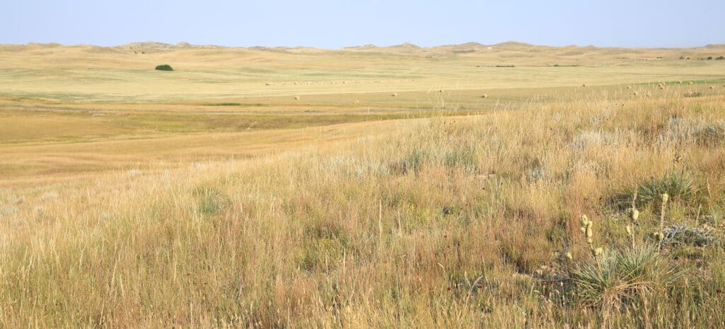 North Dakota Grasslands