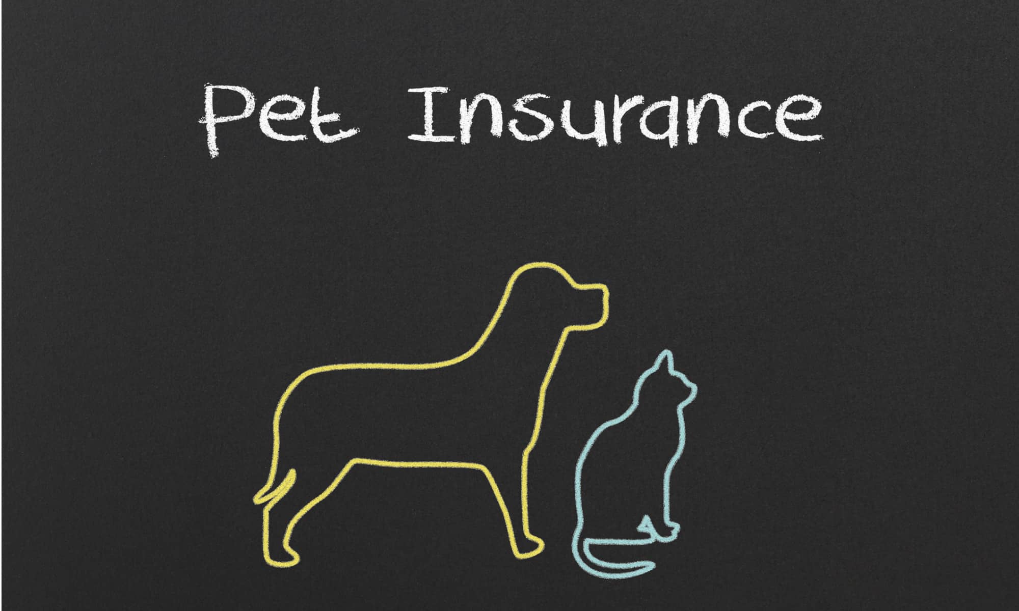 An illustrated blackboard with chalk outlines of a cat and a dog and the heading Pet Insurance