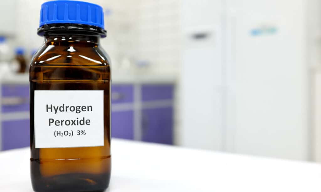 https://a-z-animals.com/media/2022/05/selective-focus-of-hydrogen-peroxide-solution-in-brown-amber-bottle-picture-id1265157289-1024x614.jpg