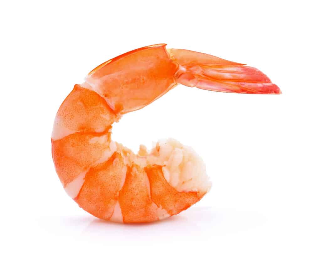 what if a dog eats a shrimp tail