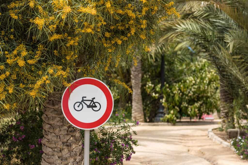 Beautiful,Road,For,Cyclists,With,Vegetation,Flowers,And,Ecology