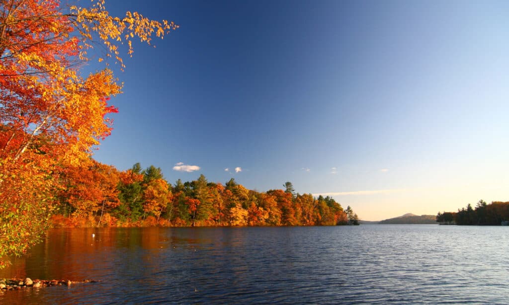 Fall Foliage by Lake Dunmore in Vermont