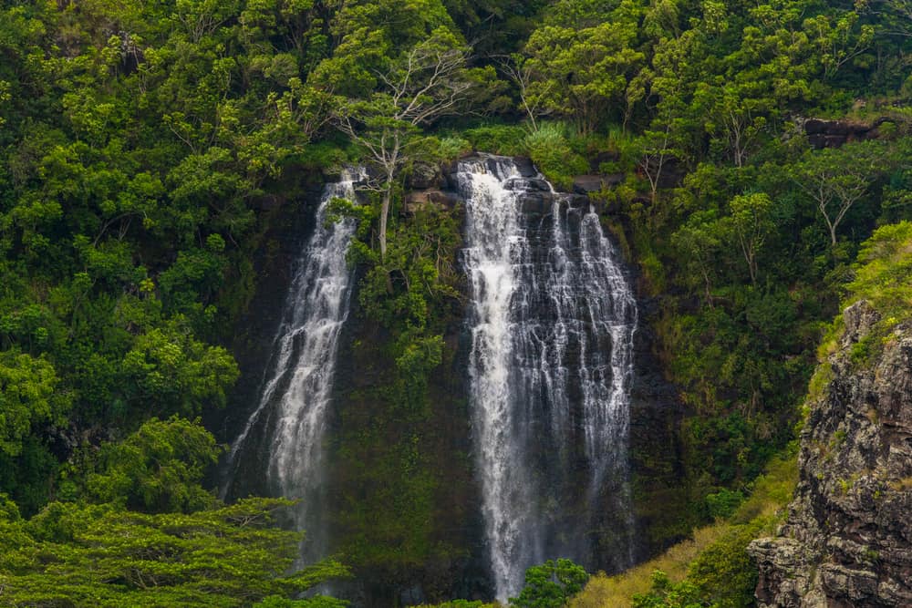 Uluwehi Falls, Kaiai