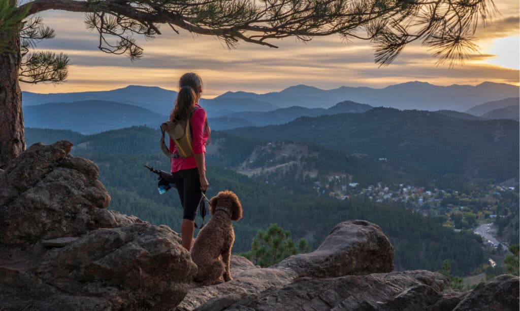 Woman hiking with her dog overlooking mountains from rocky vista