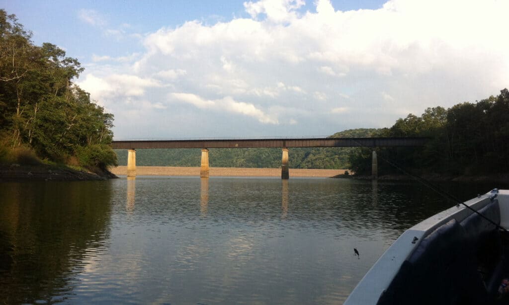 Jennings Randolph Lake from a boat. 