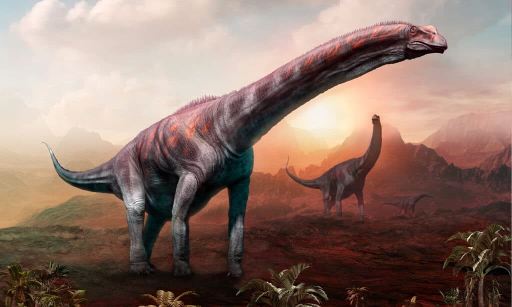 9 Dinosaurs With Long Necks - Wiki Point