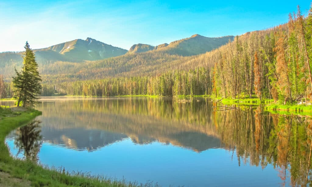 Two Ocean Lake Wyoming