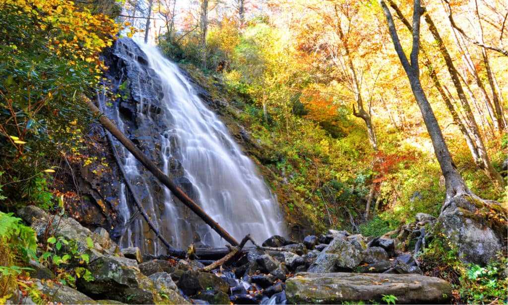 waterfalls Asheville