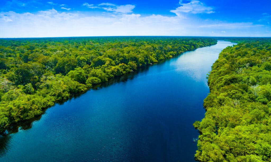 The Amazon River stretches 4,345 miles long.