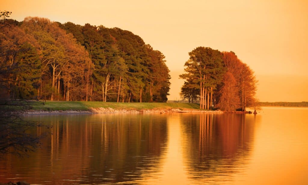 Ross R Barnett Reservoir