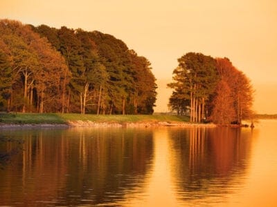 A The 10 Best Lakes In Mississippi: Fishing, Hunting, Birdwatching & In Film