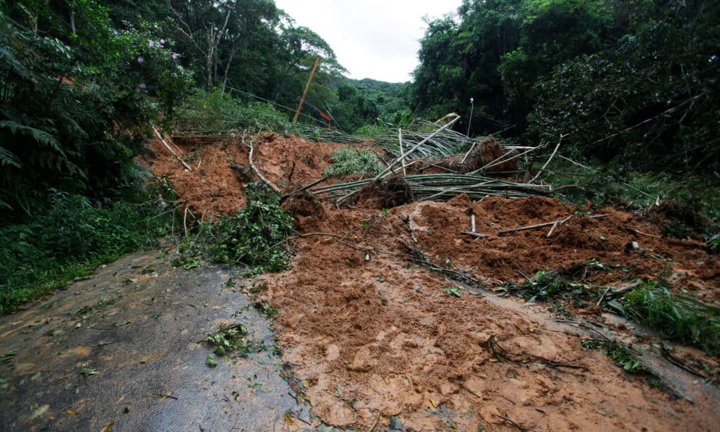 Mudslide and trees blocking a road