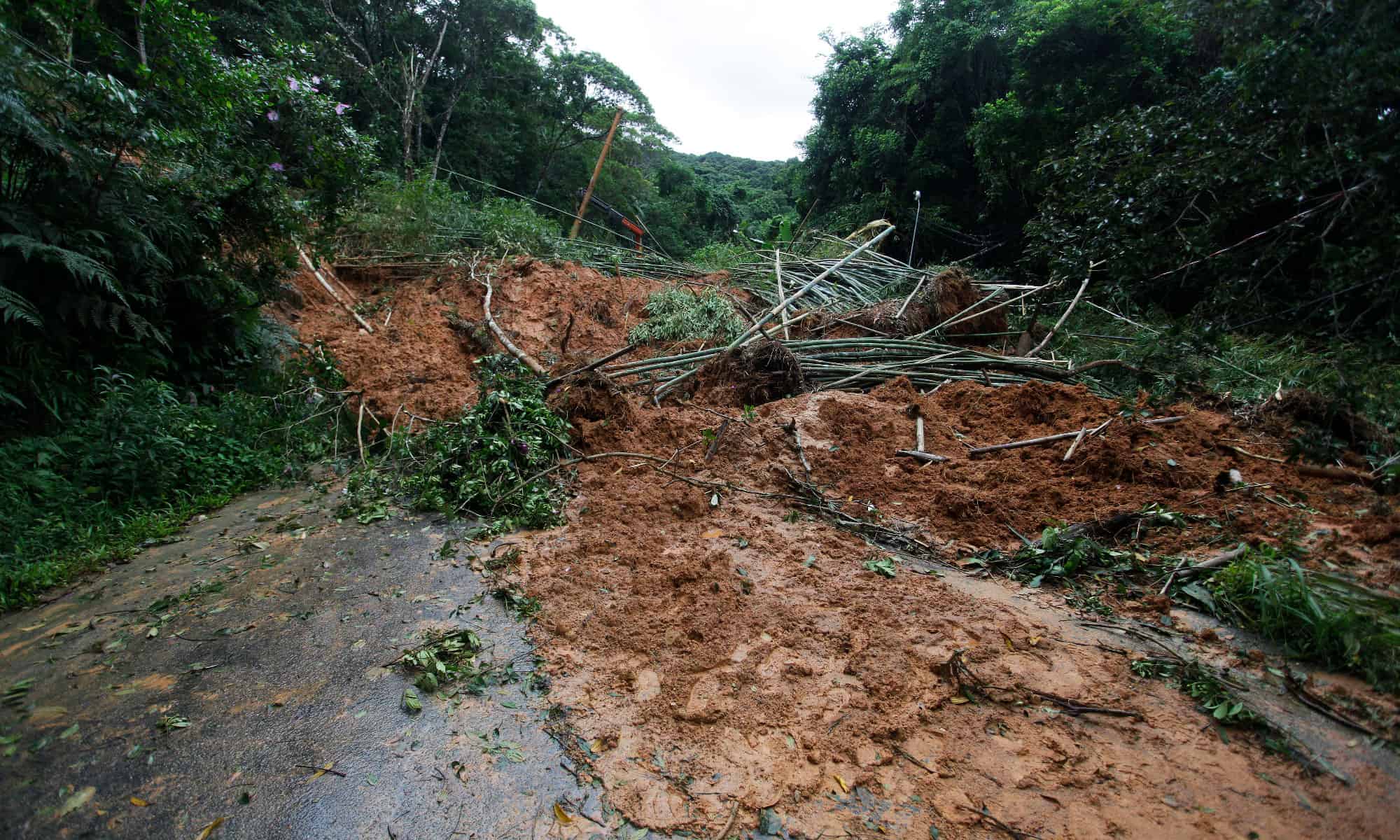 What Is A Mudslide And How Are They Caused AZ Animals