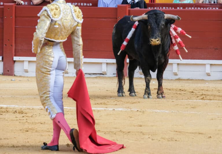 the-complete-history-of-bullfighting-a-z-animals