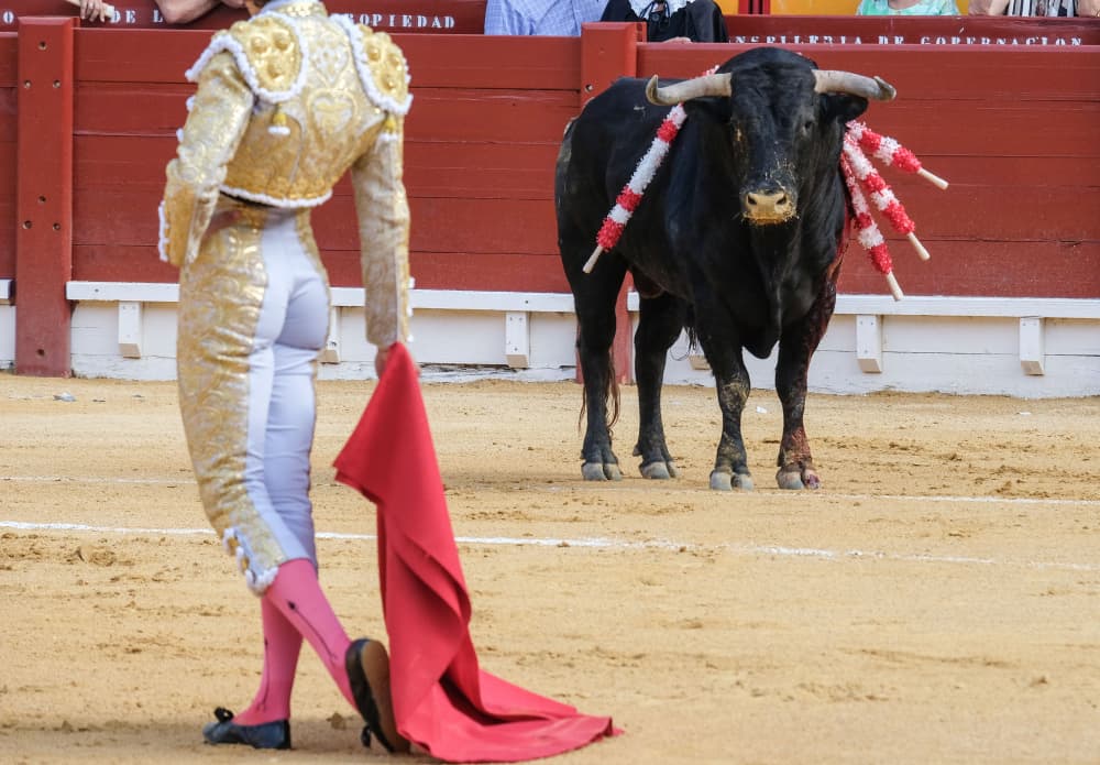 Spanish bullfight.Spanish bullfighter in bullring