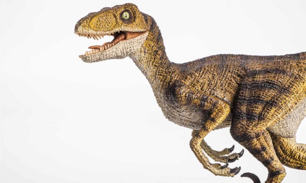 velociraptor vs indominus rex