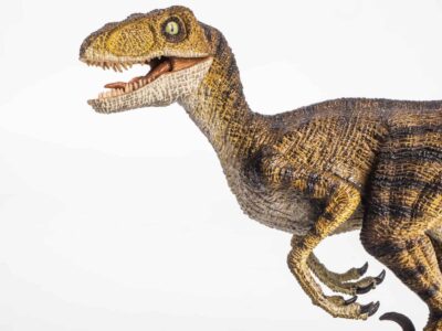 A Velociraptor vs Giganotosaurus: Who Would Win in a Fight?