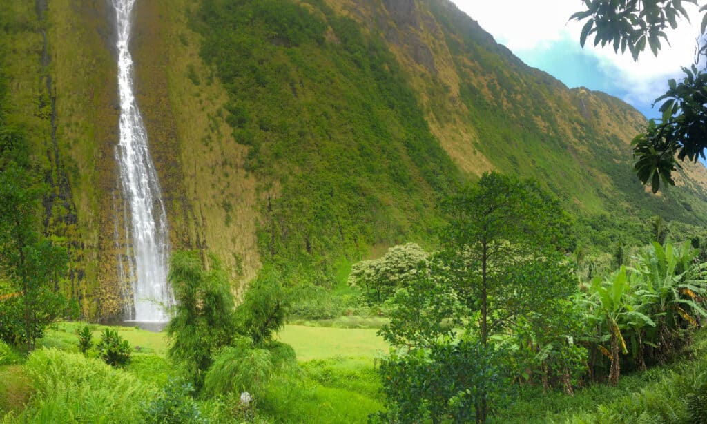 Waterfall panorama in Hawaii - North Kohala