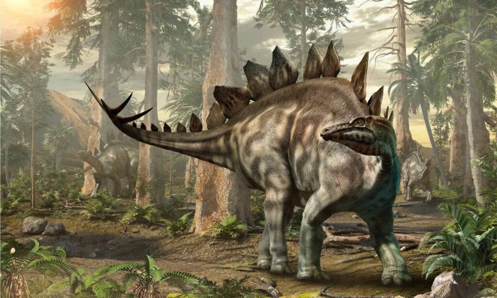 Stegosaurus in Forest