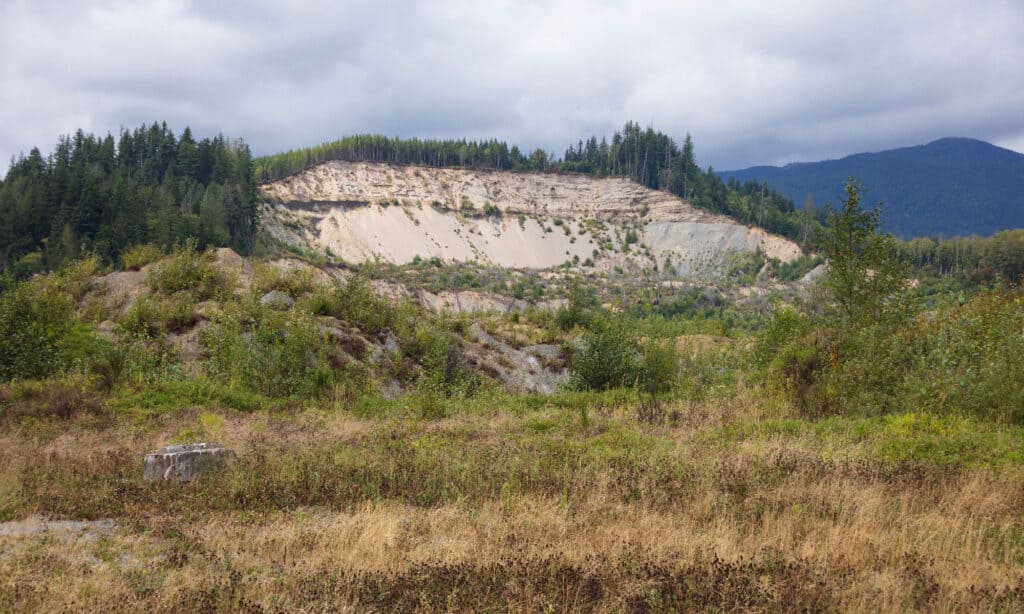 Oso Mudslide