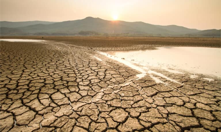 Droughts in the US: Which States are at the Highest Risk? - A-Z Animals