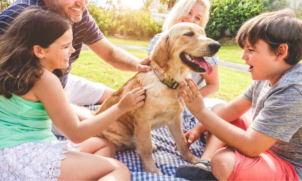 Dog Park Series - Family with Dog