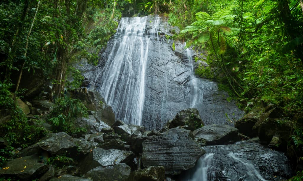 La Coca Falls