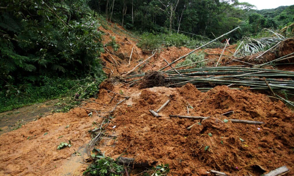 Mudslide and trees block a road