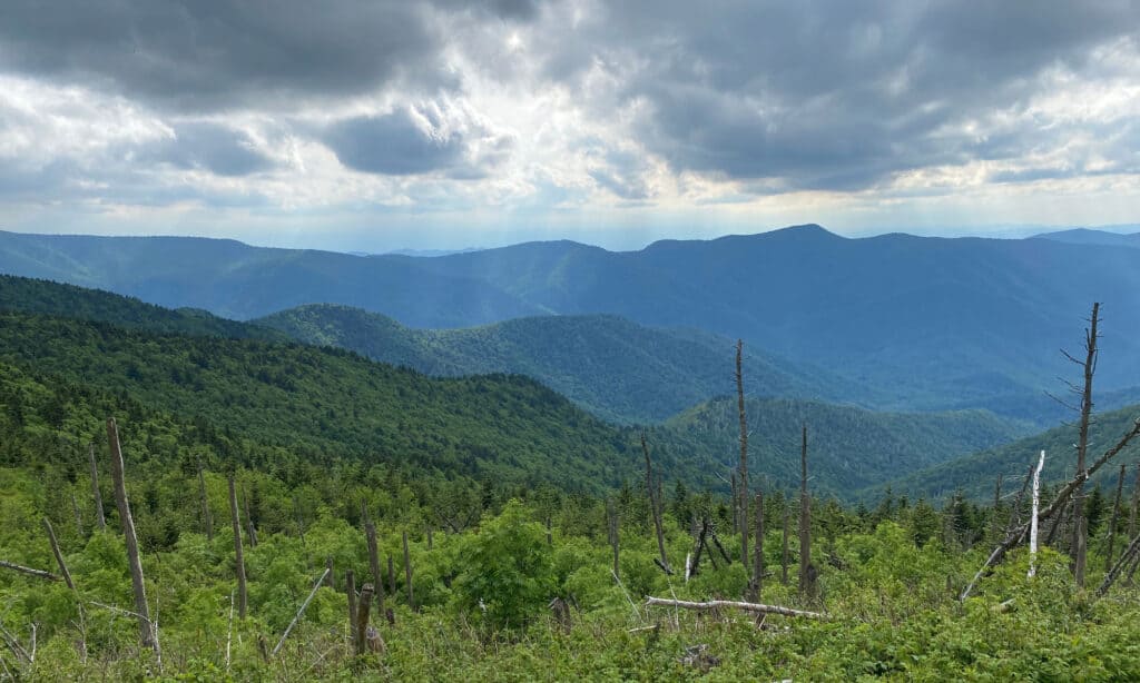 Mount Craig is the second highest peak in the Appalachian Mountains.
