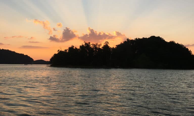 The 10 Biggest Lakes In Virginia A Z Animals   Shutterstock 1782319835 768x461 