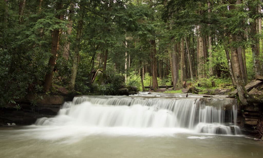 Tolliver Falls Maryland