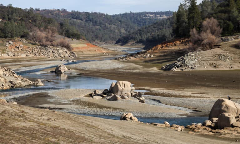 What Happens if California Has Another Drought? - A-Z Animals