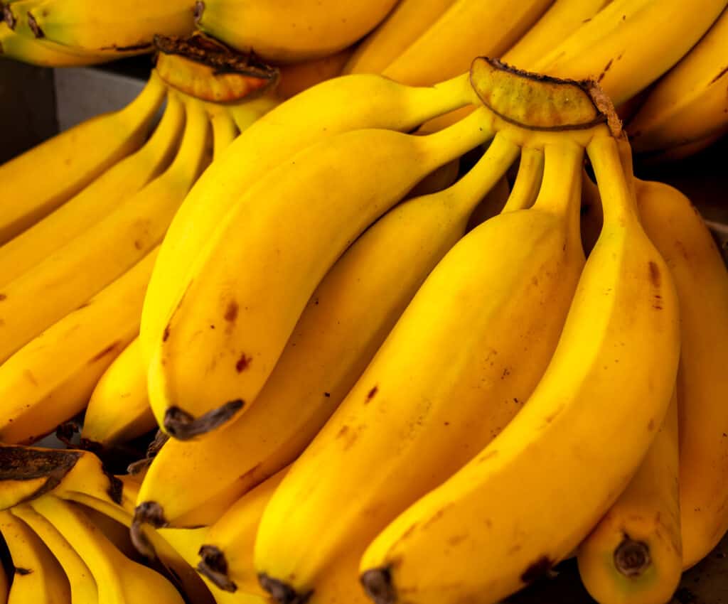 Plantain vs Banana