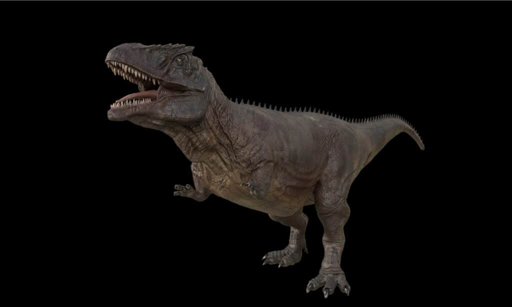 Giganotosaurus