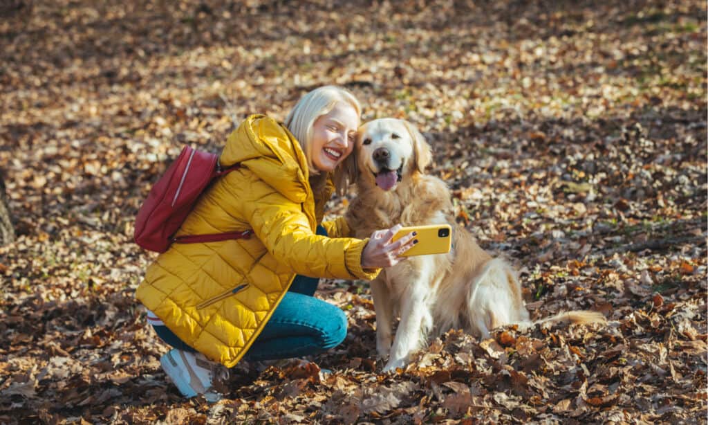 Dog Park Series - Dog Selfie