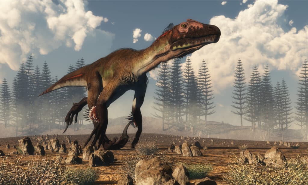 Utahraptor is the official state dinosaur of Utah.