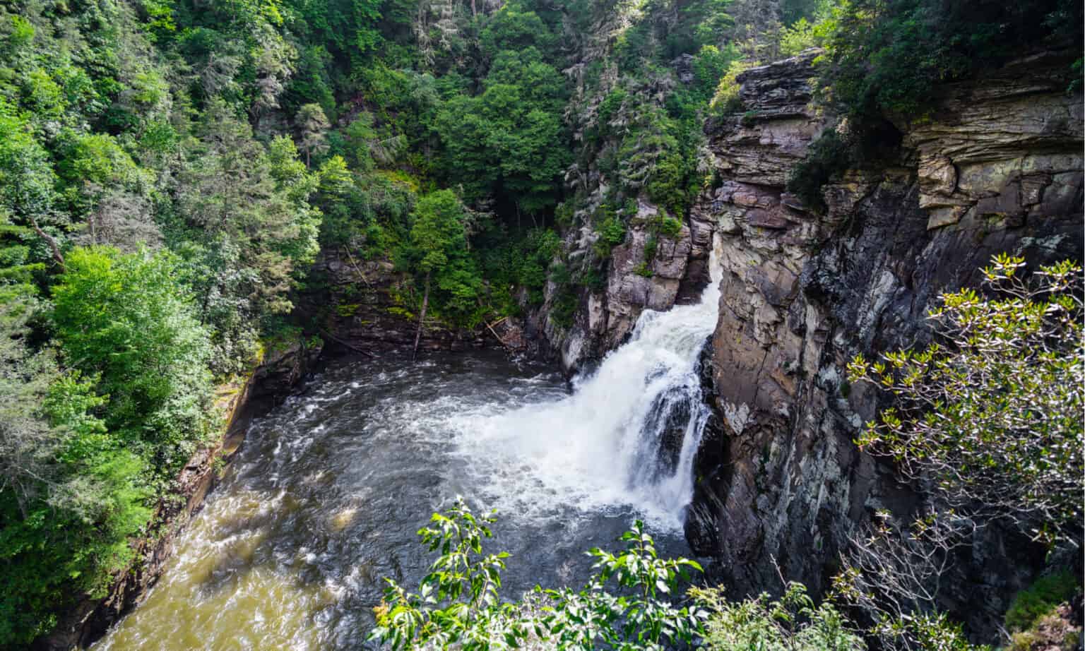 The 10 Most Stunning Waterfalls Near Asheville, NC - A-Z Animals