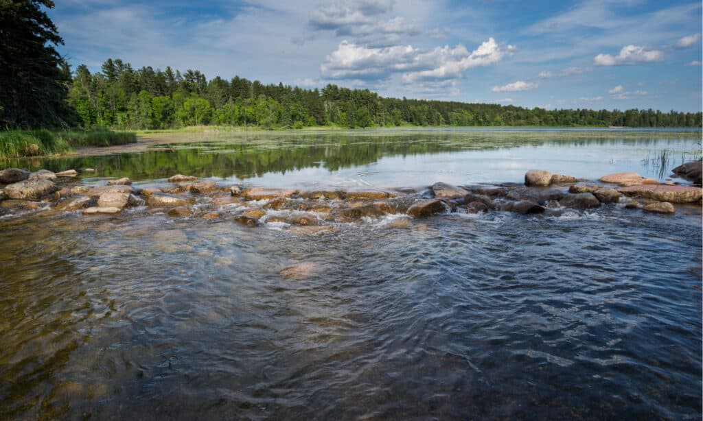 Discover Lake Itasca, the Incredible Source of the Mississippi River 