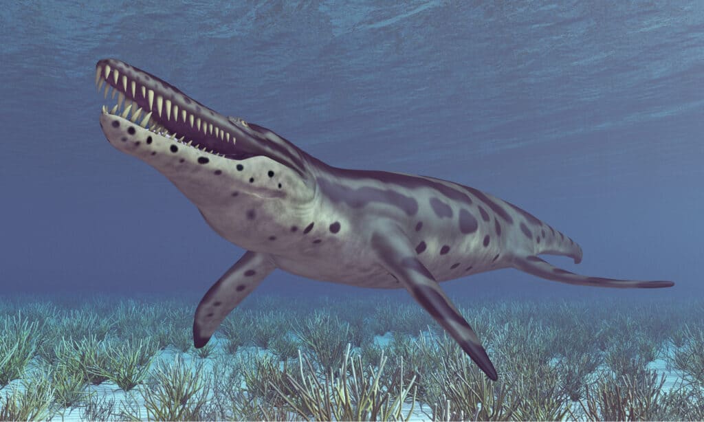 kronosaurus and mosasaurus