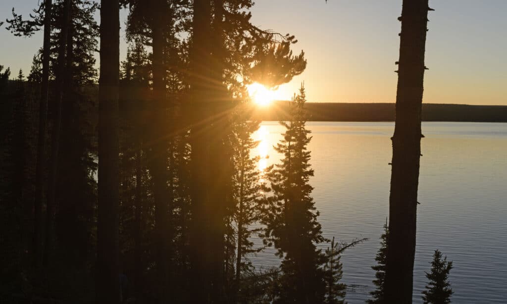 Yellowstone in July