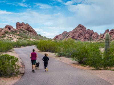 A The 7 Best Dog Parks in Phoenix