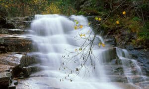 Discover These 10 Magnificent Waterfalls in New Hampshire Picture