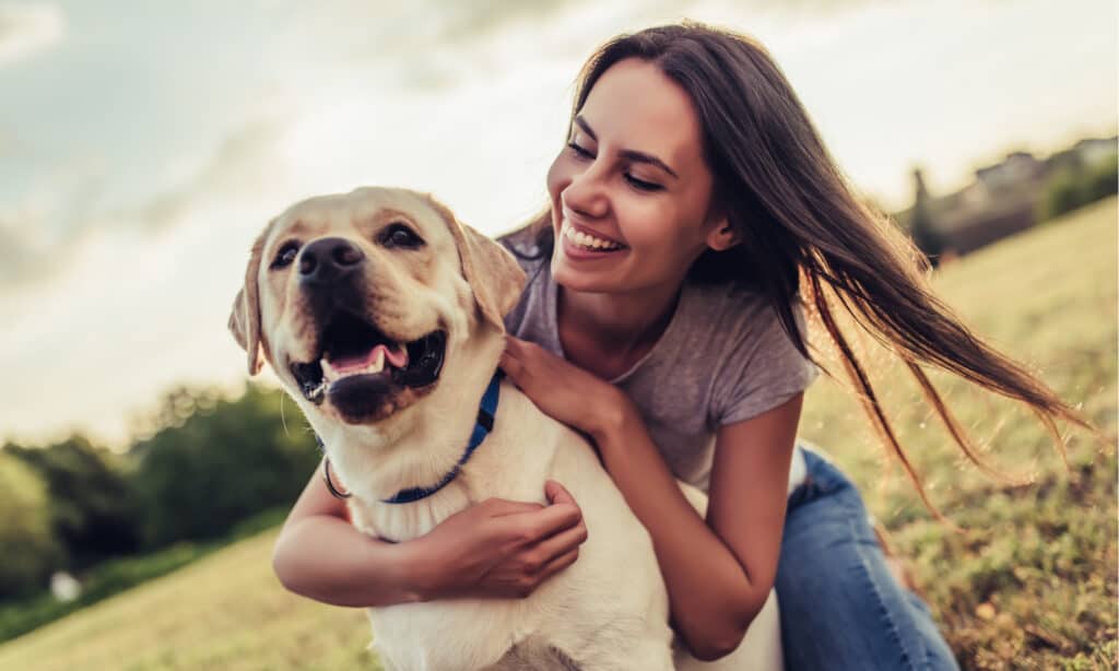 Dog Park Series - Lab with Woman 