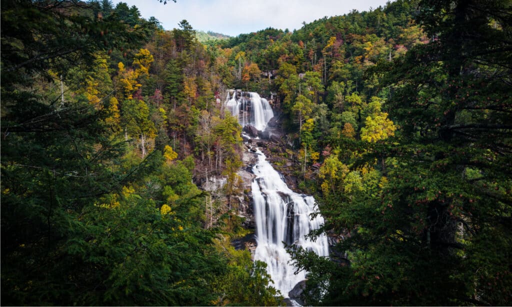 asheville waterfalls