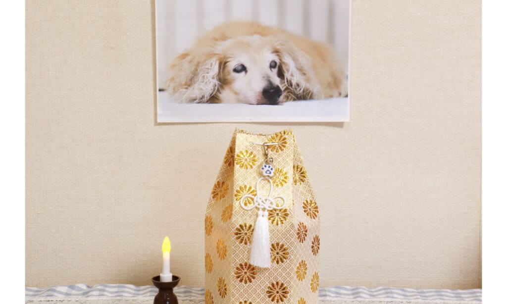 A simple memorial with candle, urn, and photo of deceased dog
